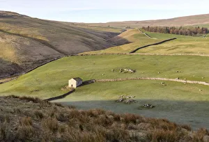 Images Dated 16th June 2017: A stone barn in a valley near Arncliffe, Yorkshire Dales National Park, North Yorkshire