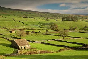 Wensleydale Prints: Stone barns and dry stone walls in beautiful Wensleydale in the Yorkshire Dales National Park