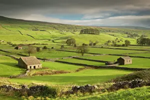 October Prints: Stone barns and dry stone walls in the rolling countryside of Wensleydale near Hawes
