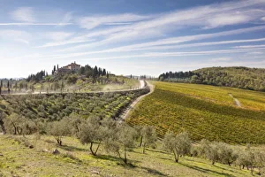 Images Dated 22nd December 2017: A stone house surrounded by vines in the autumn, Radda in Chianti, Chianti, Tuscany