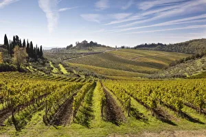 Images Dated 22nd December 2017: A stone house surrounded by vines in the autumn, Radda in Chianti, Chianti, Tuscany