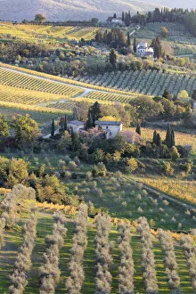 Images Dated 22nd December 2017: Stone houses surrounded by vines and olive orchards in the autumn, Greve in Chianti