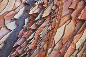 Stone structure in Hamersley Gorge - Australia, Western Australia, Pilbara