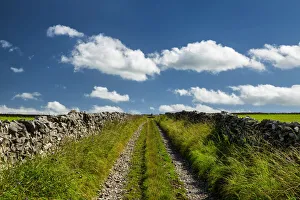 Stone Wall Prints: Stone Walls & Track, Peak District National Park, Derbyshire, England