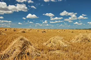 Stooks Swan Lake, Manitoba, Canada