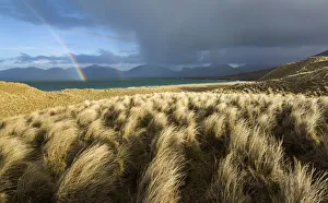 Storm passing over sand dunes at Luskentyre, Isle of Harris, Outer Hebrides, Scotland