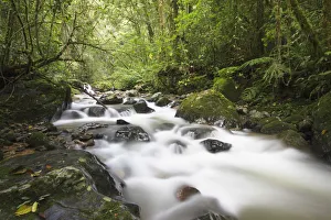 Borneo Prints: Stream in Kinabalu National Park, Sabah, Malaysia