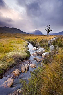 Stream running through Rannoch Moor wilderness, Highland, Scotland