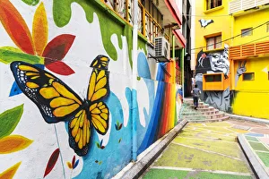 Images Dated 27th March 2020: Street Art, Kuala Lumpur, Malaysia, South East Asia