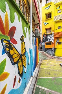 Images Dated 27th March 2020: Street Art, Kuala Lumpur, Malaysia, South East Asia
