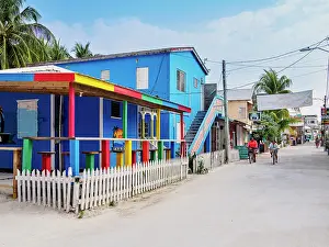Dirt Road Prints: Street of Caye Caulker Village, Caye Caulker, Belize District, Belize