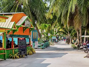 Dirt Road Prints: Street of Caye Caulker Village, Caye Caulker, Belize District, Belize