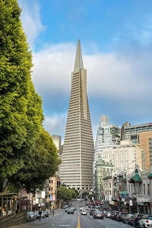 Roads Collection: Street leading to Transamerica Pyramid in city, San Francisco, California, USA