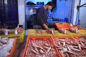 Images Dated 1st September 2011: Street market, Tunis, Tunisia