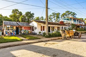 Images Dated 29th May 2020: A street in Vinales, Pinar del Rio Province, Cuba