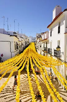 Images Dated 13th October 2011: Streets decorated with paper flowers. People festivities (Festas do Povo). Campo Maior