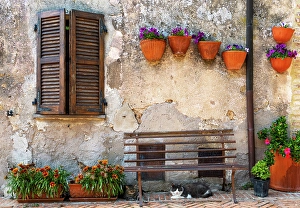 Cats Prints: Streets of Sovana, one of the most beautiful villages of Italy, Grosseto, Tuscany, Italy
