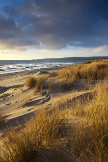 Studland Beach with views to Old Harry Rocks, Dorset, England. Winter