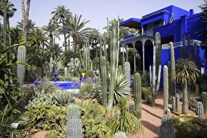 Out Side Gallery: The sub-tropical Jardin Majorelle in the Ville Nouvelle of Marrakech