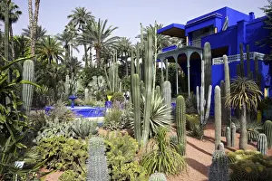 The sub-tropical Jardin Majorelle in the Ville Nouvelle of Marrakech