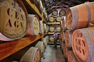 Sugar cane brandy cellar. Porto da Cruz. Madeira, Portugal (MR)