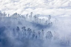 Deadly Prints: Sulfur mist, Ijen crater, Eastern Giava Island, Indonesia