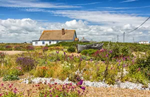 Images Dated 11th October 2018: Summer in Dungeness, Kent, England