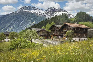 Summer meadow and farms in Obermauern, Virgental, East Tyrol, Tyrol, Austria