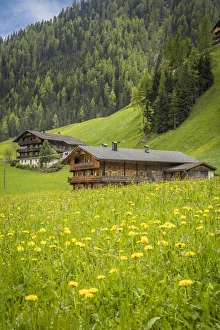 Summer meadow and mountain farms in Arntal, Villgratental, East Tyrol, Tyrol, Austria