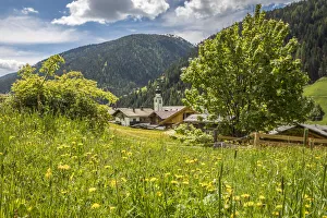 Summer meadow and view of Innervillgraten in Villgratental, East Tyrol, Tyrol, Austria Summer meadow and view of Innervillgraten in Villgratental, East Tyrol, Tyrol, Austria