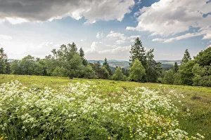 Nordrhein Westfalen Prints: Summit plateau of the Kahler Asten near Winterberg