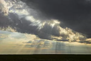 Images Dated 16th February 2022: Sun beams breaking through storm clouds, Liuwa Plain National Park, Zambia