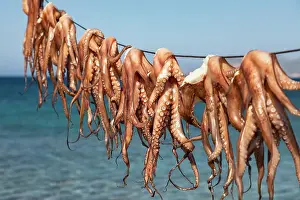 Octopus Prints: Sun dried octopus at the fishing village of Mandrakia (Plaka)