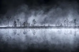 Peat Bog Prints: The sun illuminates the fog that envelops the peat bog of Pian di Gembro
