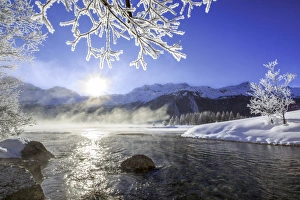 Sun illuminates tree branches covered with frost along the river Inn. Sils. Engadine Sun illuminates tree branches covered with frost along the river Inn. Sils. Engadine