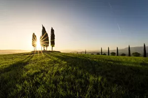 Tuscany Gallery: Sunburst and cypress trees at sunrise, Val d Orcia, Tuscany, Italy