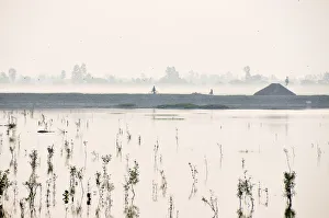 Sundarbans National Park, Tiger Reserve at dawn. West Bengal, India
