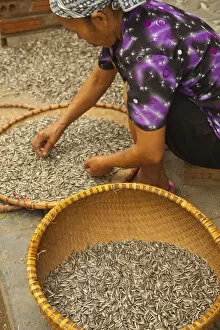Images Dated 10th October 2012: Sunflower seeds in basket, Old Quarter, Hanoi, Vietnam