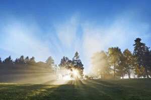 Images Dated 3rd March 2021: Sunrays in fog - Germany, Bavaria, Swabia, OstAllgau, Illasbergsee - Allgau, Forggensee