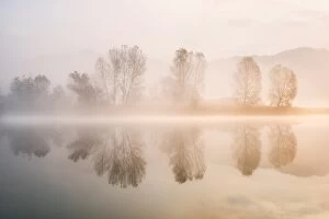 Serene Landscapes Gallery: Sunrise in Adda river, Airuno province, Lombardy district, Italy, Europe