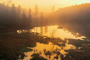 Monochrome Prints: Sunrise over boreal forest and wetland Kenora, Ontario, Canada Kenora, Ontario, Canada