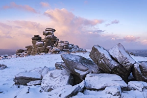 Dartmoor Prints: Sunrise above covered rocks at Great Staple Tor, Dartmoor, Devon, England. Winter