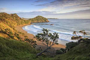 Images Dated 1st November 2019: Sunrise at Daisy Bay, Matapouri, New Zealand