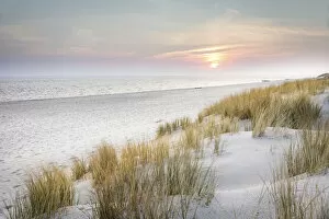 Dunes Gallery: Sunrise in the dunes of the Ellenbogen nature reserve, Sylt, Schleswig-Holstein, Germany