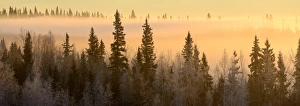 Fairbanks Prints: Sunrise over Fairbanks, Alaska, USA