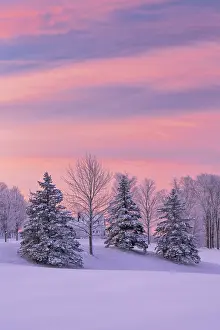 Cabot Prints: Sunrise over farmhouse and snow-covered trees, Green Mountains, Cabot, Vermont, USA