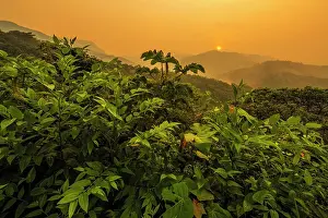 Amazon Prints: Sunrise over the foothills of the Andes Mountains in Amazonian Rainforest in the Cordillera Escalera near Tarapoto