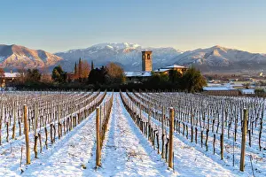 Q1 2024 Prints: Sunrise in Franciacorta after a snowfall, Brescia province in Lombardy district, Italy