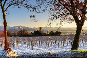 Sunrise in Franciacorta after a snowfall, Brescia province in Lombardy district, Italy