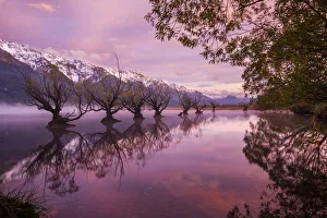 Images Dated 1st November 2019: Sunrise at Glenorchy, Otago, New Zealand